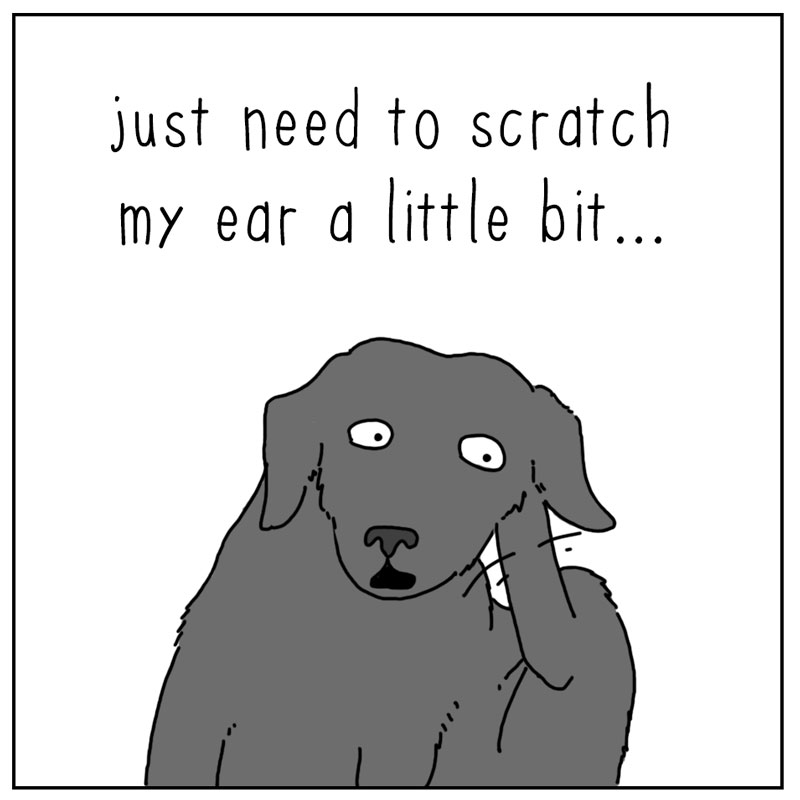 https://cdn-dev.tinyview.com/they-can-talk/2024/05/03/itchy/dog_scratch1.jpg