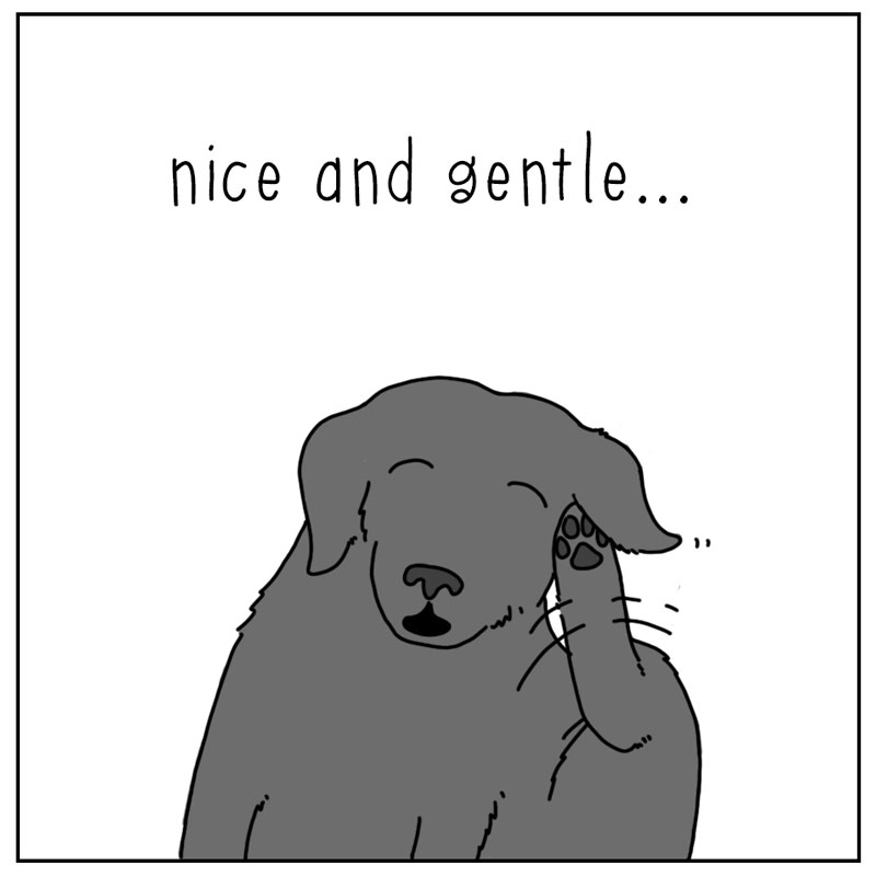 https://cdn-dev.tinyview.com/they-can-talk/2024/05/03/itchy/dog_scratch2.jpg