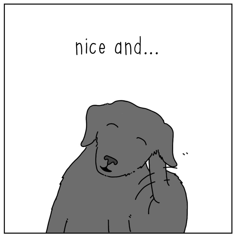 https://cdn-dev.tinyview.com/they-can-talk/2024/05/03/itchy/dog_scratch3.jpg