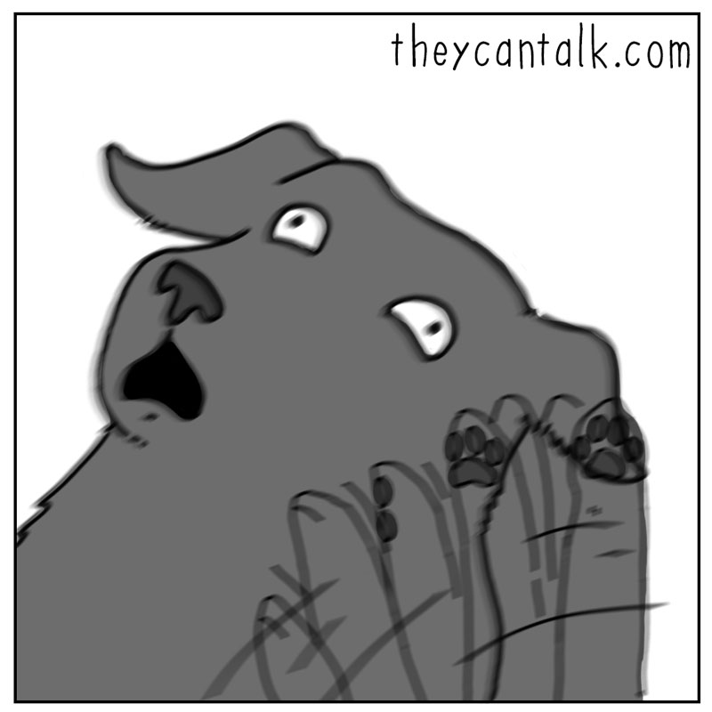 https://cdn-dev.tinyview.com/they-can-talk/2024/05/03/itchy/dog_scratch4.jpg