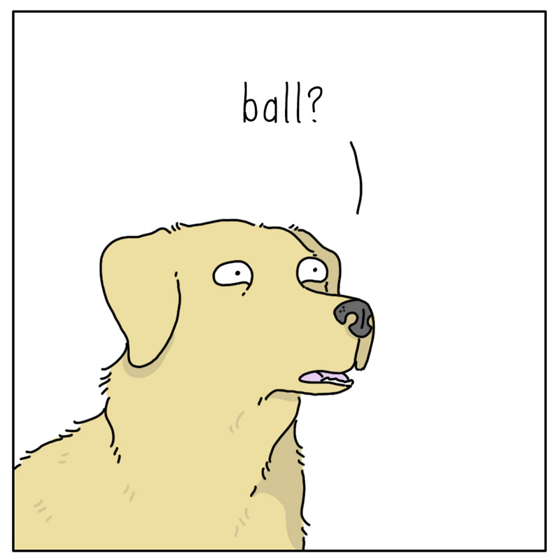 https://cdn-dev.tinyview.com/they-can-talk/2024/05/06/ballpark/dog_ballpark2.jpg