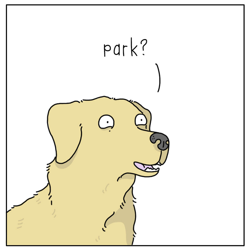 https://cdn-dev.tinyview.com/they-can-talk/2024/05/06/ballpark/dog_ballpark3.jpg