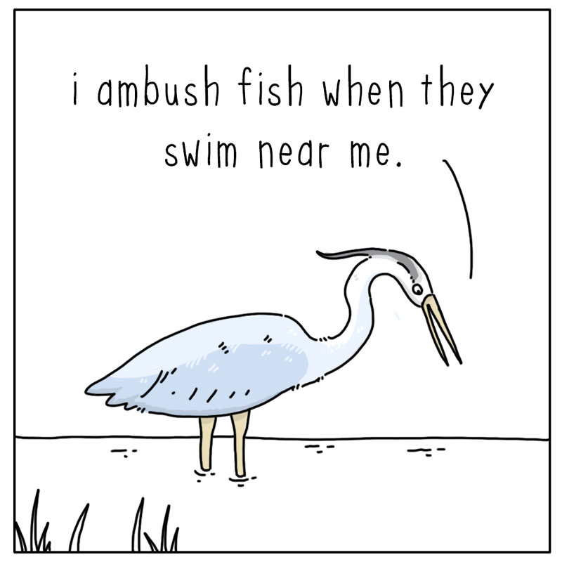 https://cdn-dev.tinyview.com/they-can-talk/2024/05/10/ambush/heron_stupid1.jpg