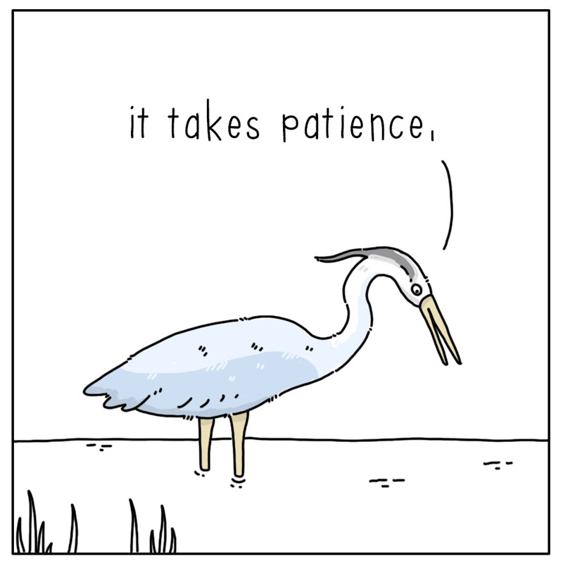 https://cdn-dev.tinyview.com/they-can-talk/2024/05/10/ambush/heron_stupid2.jpg