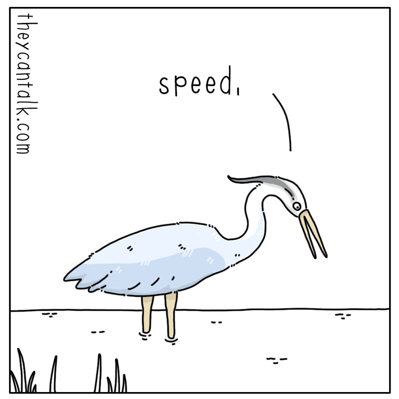 https://cdn-dev.tinyview.com/they-can-talk/2024/05/10/ambush/heron_stupid3.jpg