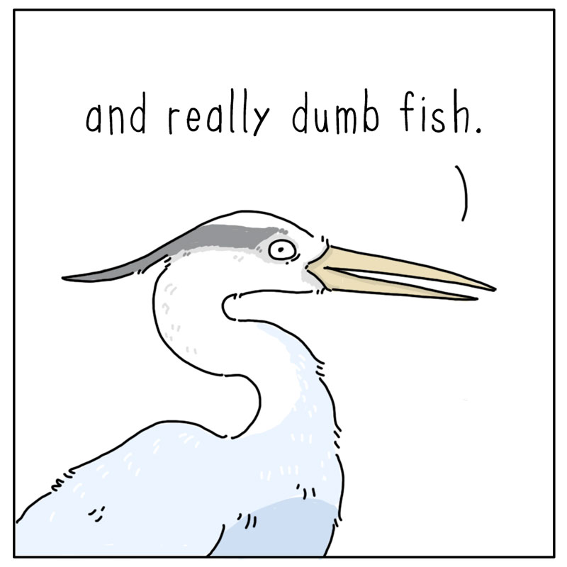 https://cdn-dev.tinyview.com/they-can-talk/2024/05/10/ambush/heron_stupid4.jpg