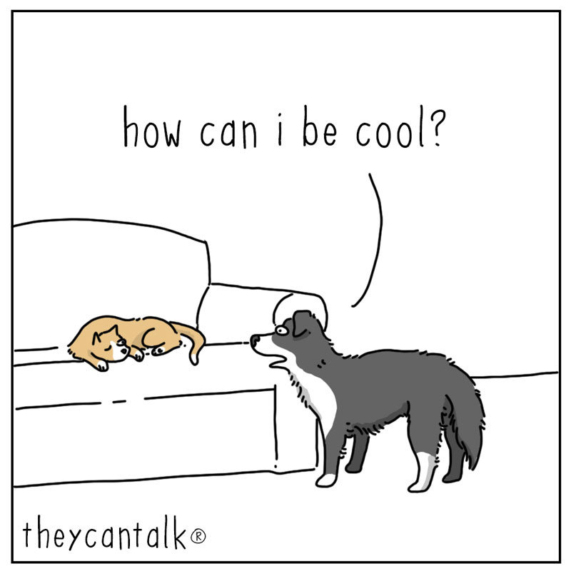 https://cdn-dev.tinyview.com/they-can-talk/2024/05/20/cool/dog_cool1.jpg
