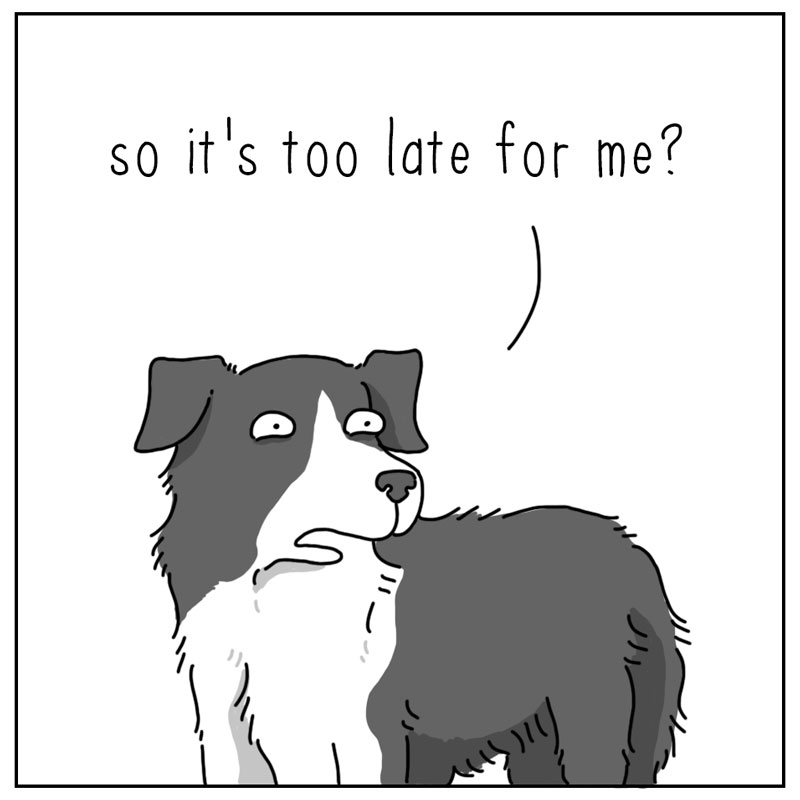 https://cdn-dev.tinyview.com/they-can-talk/2024/05/20/cool/dog_cool3.jpg