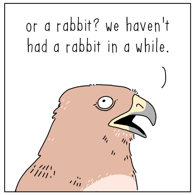 https://cdn-dev.tinyview.com/they-can-talk/2024/06/03/decisions/hawk_dinner2.jpg