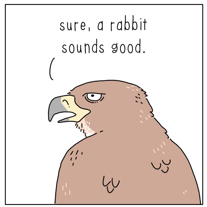 https://cdn-dev.tinyview.com/they-can-talk/2024/06/03/decisions/hawk_dinner3.jpg