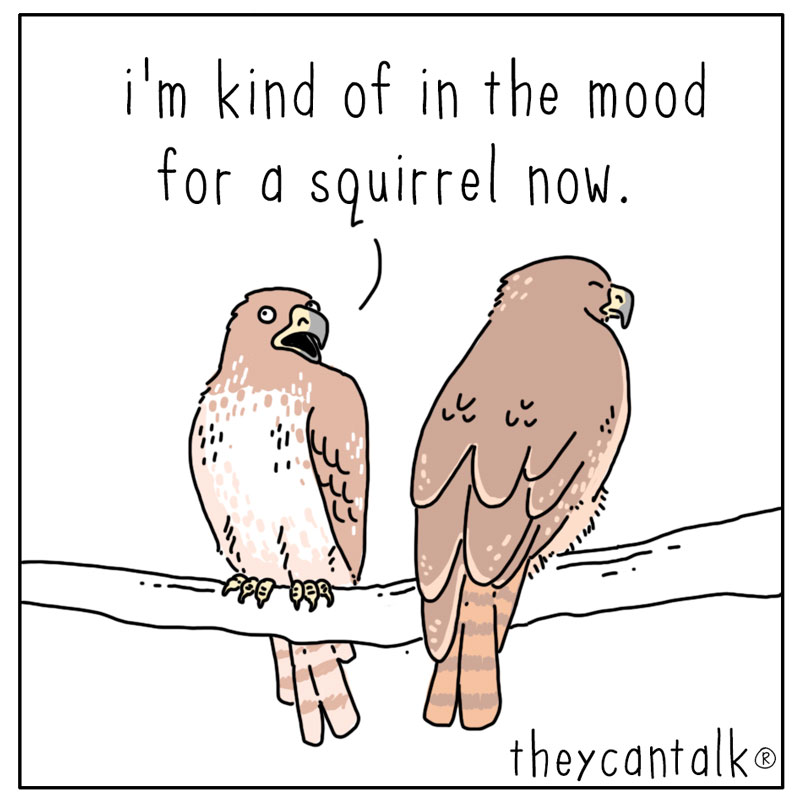 https://cdn-dev.tinyview.com/they-can-talk/2024/06/03/decisions/hawk_dinner4.jpg