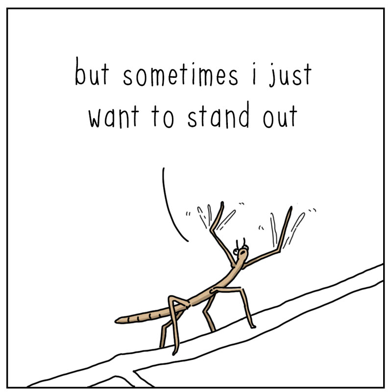 https://cdn-dev.tinyview.com/they-can-talk/2024/06/10/stand-out/stickbug_standout2.jpg