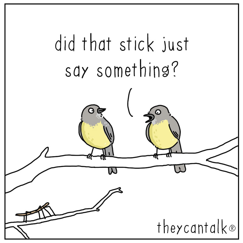 https://cdn-dev.tinyview.com/they-can-talk/2024/06/10/stand-out/stickbug_standout3.jpg