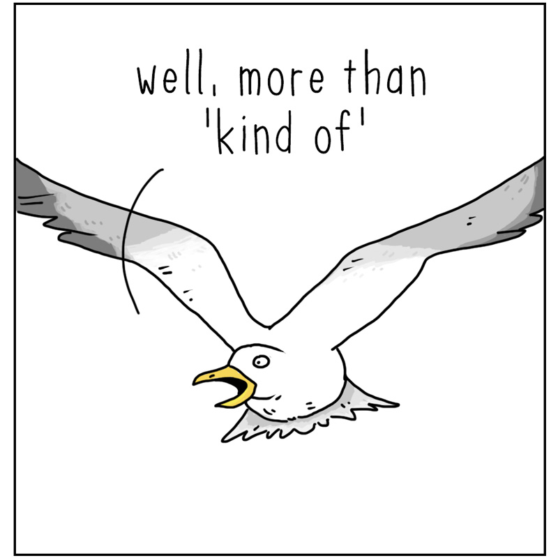 https://cdn-dev.tinyview.com/they-can-talk/2024/06/14/dump/seagull_dump2.jpg