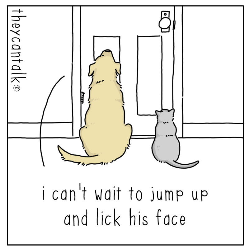 https://cdn-dev.tinyview.com/they-can-talk/2024/06/21/greeting/dog_greeting1.jpg