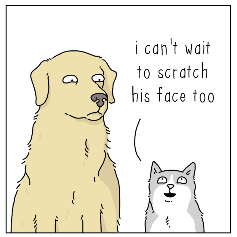 https://cdn-dev.tinyview.com/they-can-talk/2024/06/21/greeting/dog_greeting2.jpg