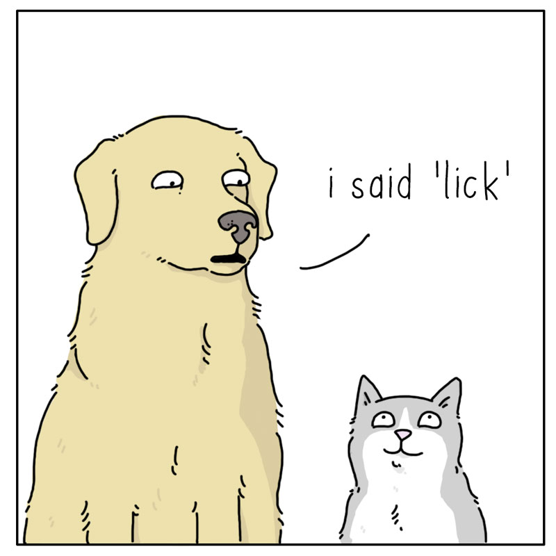 https://cdn-dev.tinyview.com/they-can-talk/2024/06/21/greeting/dog_greeting3.jpg