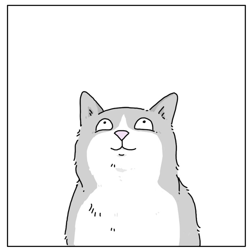 https://cdn-dev.tinyview.com/they-can-talk/2024/06/21/greeting/dog_greeting4.jpg