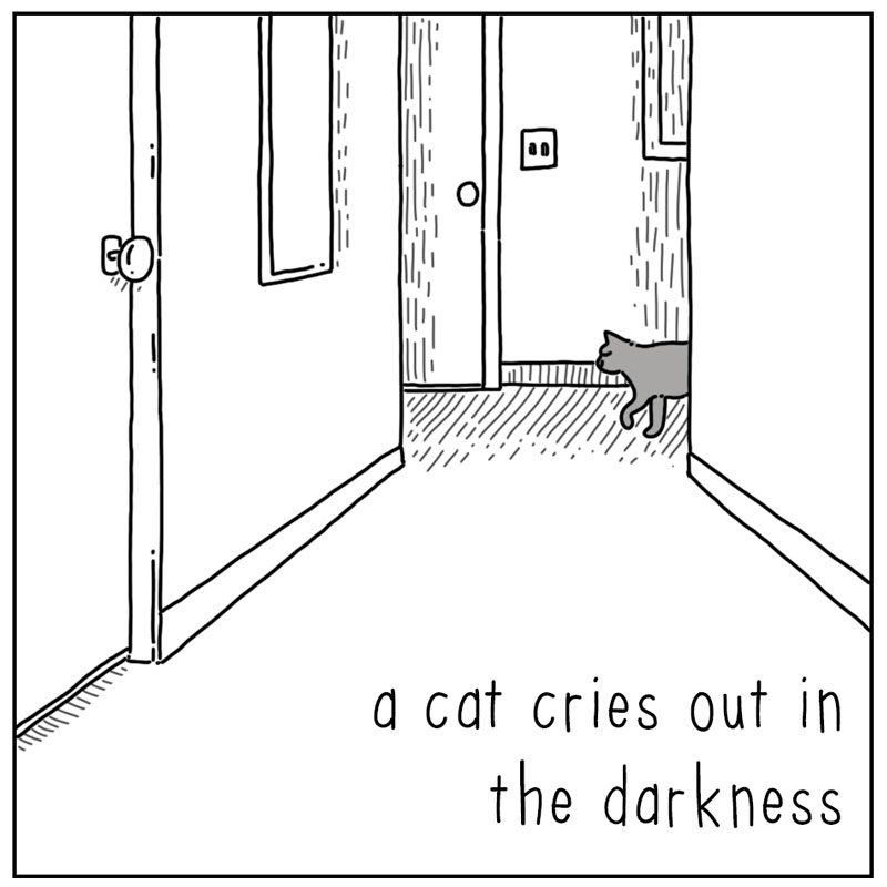 https://cdn-dev.tinyview.com/they-can-talk/2024/06/28/midnight/cat_breakfast3.jpg