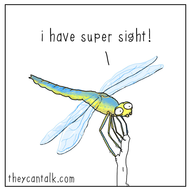 https://cdn-dev.tinyview.com/they-can-talk/2024/07/05/superpowers/stickbug_powers1.jpg