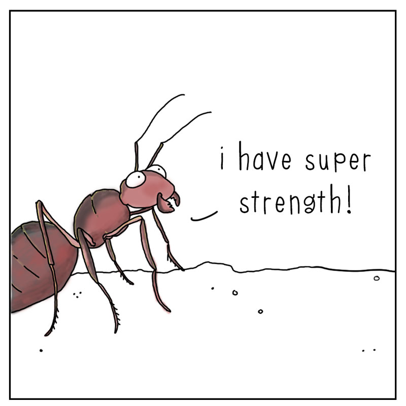 https://cdn-dev.tinyview.com/they-can-talk/2024/07/05/superpowers/stickbug_powers2.jpg