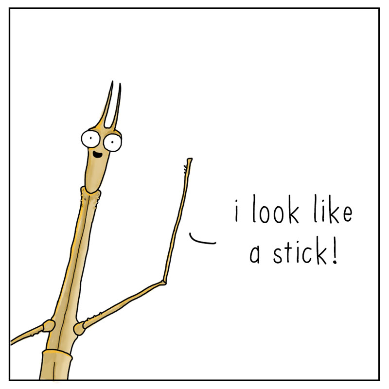 https://cdn-dev.tinyview.com/they-can-talk/2024/07/05/superpowers/stickbug_powers4.jpg