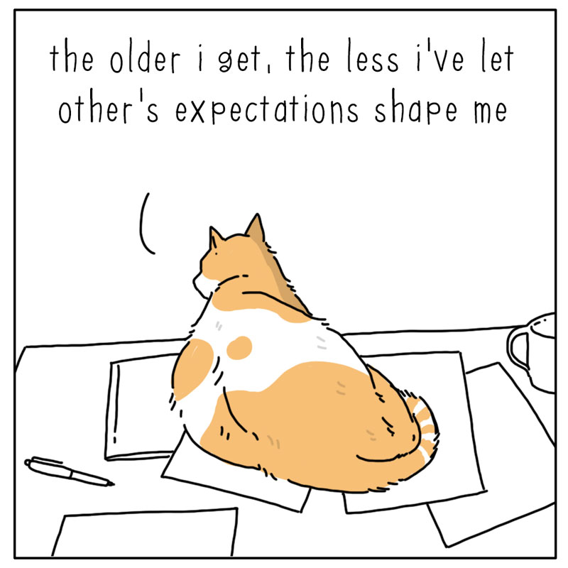 https://cdn-dev.tinyview.com/they-can-talk/2024/07/12/authentic/cat_authentic1.jpg