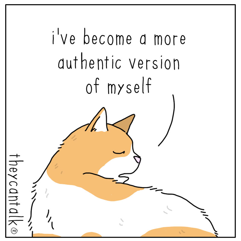 https://cdn-dev.tinyview.com/they-can-talk/2024/07/12/authentic/cat_authentic2.jpg
