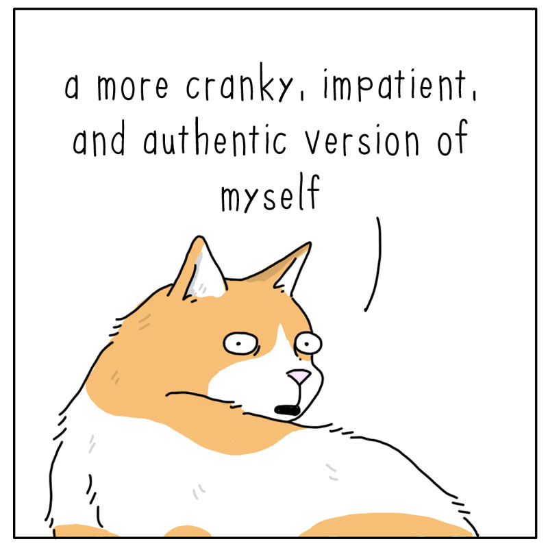 https://cdn-dev.tinyview.com/they-can-talk/2024/07/12/authentic/cat_authentic3.jpg