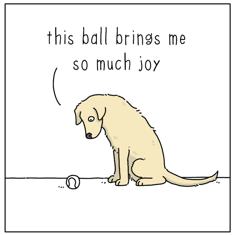 https://cdn-dev.tinyview.com/they-can-talk/2024/07/19/joy/dog_joy1.jpg