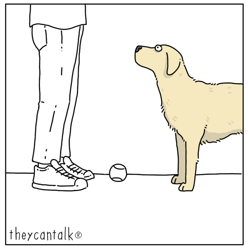 https://cdn-dev.tinyview.com/they-can-talk/2024/07/19/joy/dog_joy3.jpg
