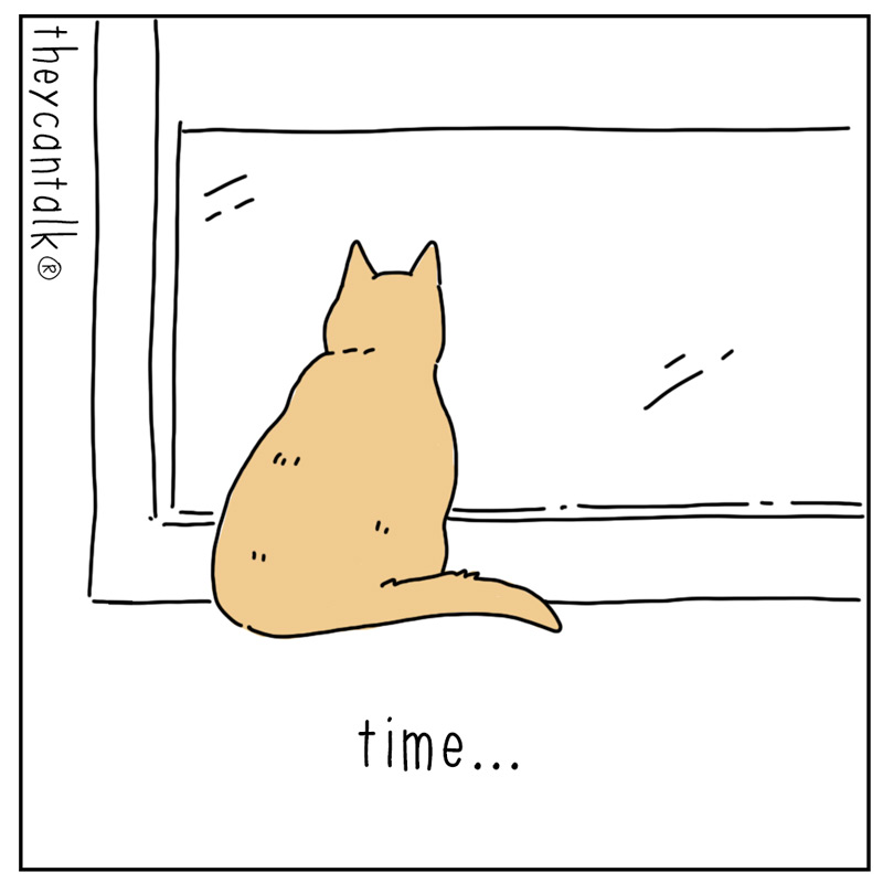 https://cdn-dev.tinyview.com/they-can-talk/2024/07/22/time/cat_time1.jpg