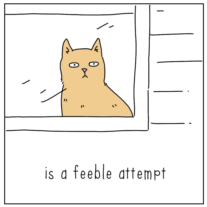 https://cdn-dev.tinyview.com/they-can-talk/2024/07/22/time/cat_time2.jpg