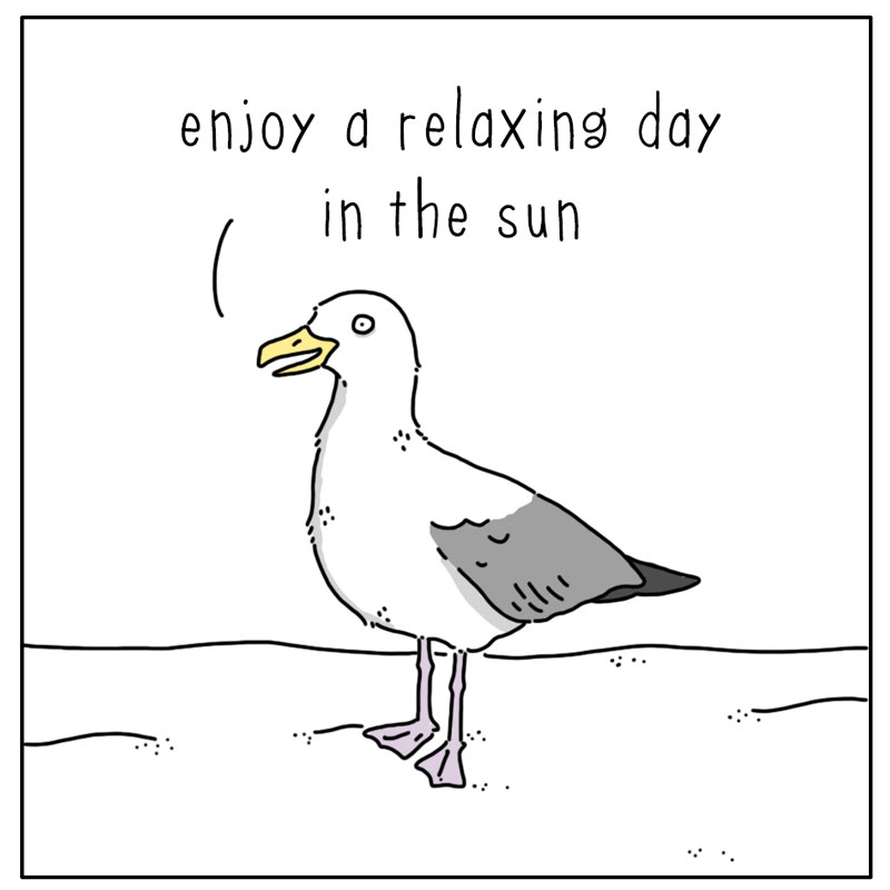 https://cdn-dev.tinyview.com/they-can-talk/2024/08/12/serenade/seagull_song2.jpg