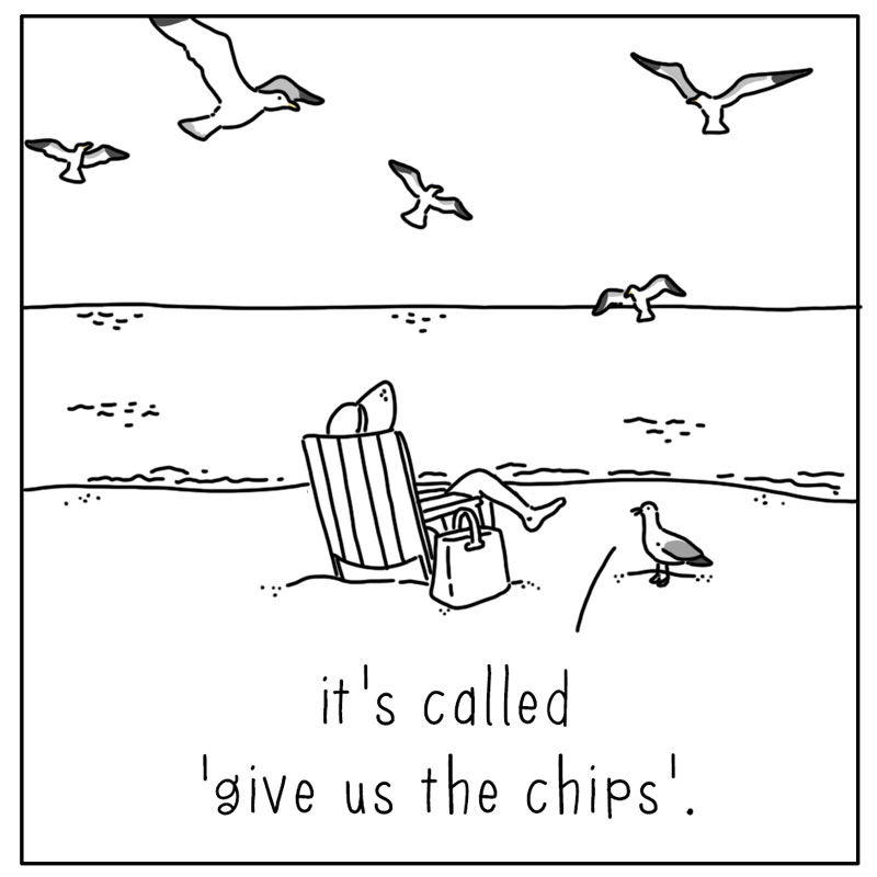https://cdn-dev.tinyview.com/they-can-talk/2024/08/12/serenade/seagull_song4.jpg