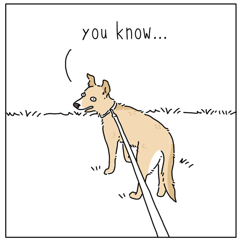 https://cdn-dev.tinyview.com/they-can-talk/2024/09/02/legs/dog_fourlegs3.jpg