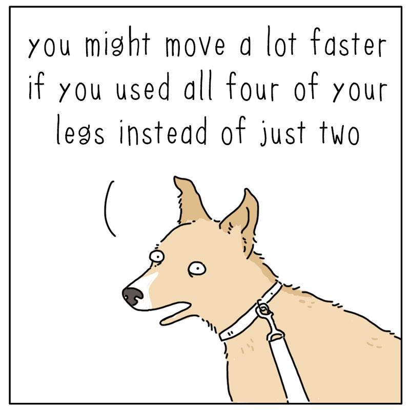 https://cdn-dev.tinyview.com/they-can-talk/2024/09/02/legs/dog_fourlegs4.jpg