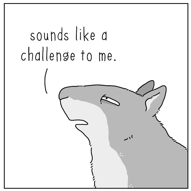 https://cdn-dev.tinyview.com/they-can-talk/2024/09/06/feeder/squirrell_challenge3.jpg