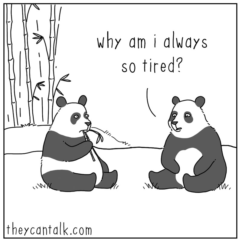 https://cdn-dev.tinyview.com/they-can-talk/2024/09/13/tired/panda_tired1.jpg