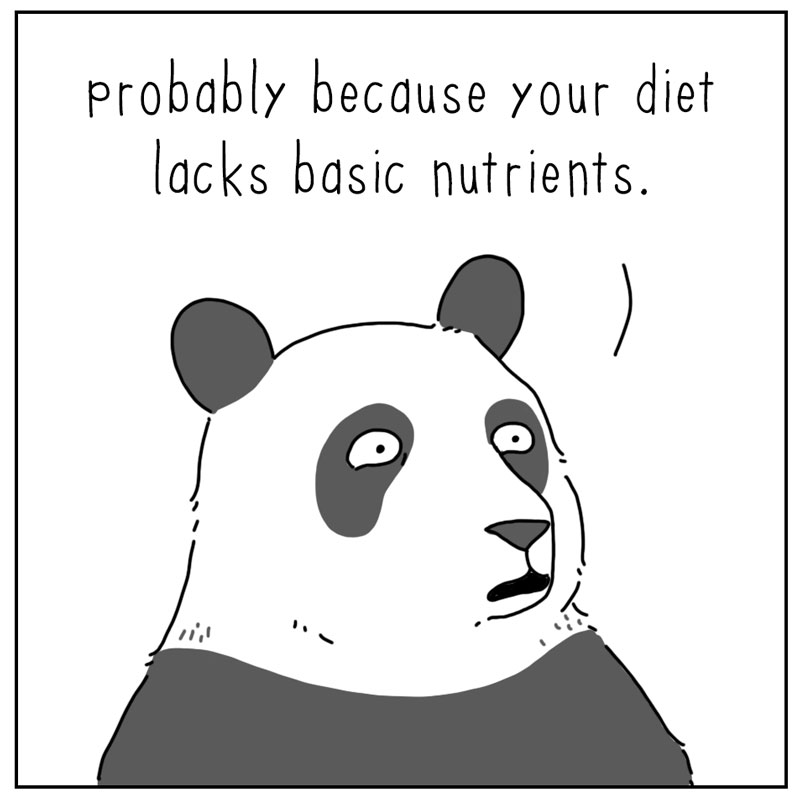 https://cdn-dev.tinyview.com/they-can-talk/2024/09/13/tired/panda_tired2.jpg