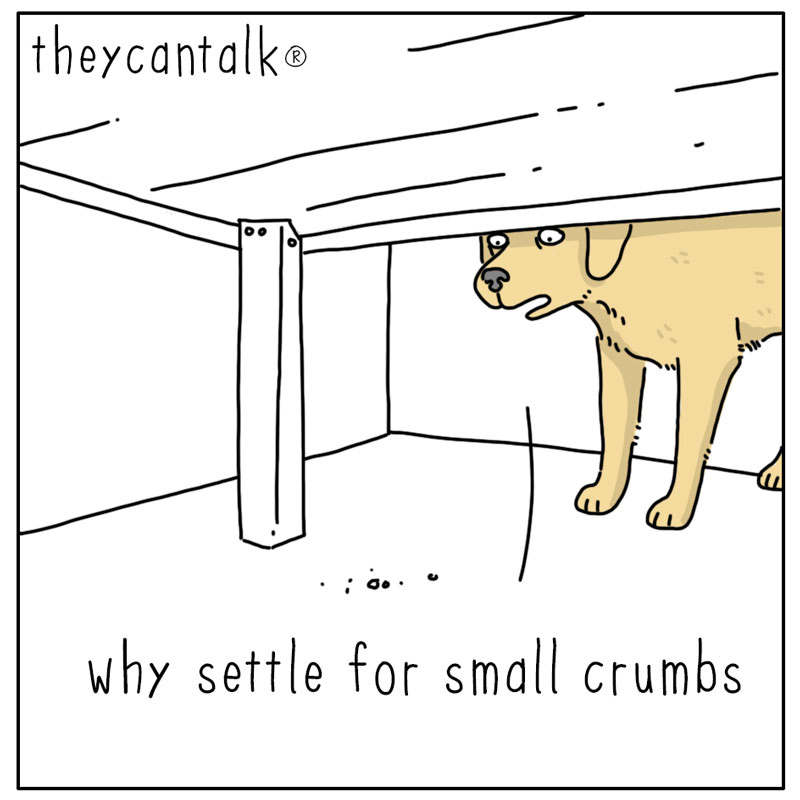 https://cdn-dev.tinyview.com/they-can-talk/2024/09/15/crumbs/dog_crumbs1.jpg
