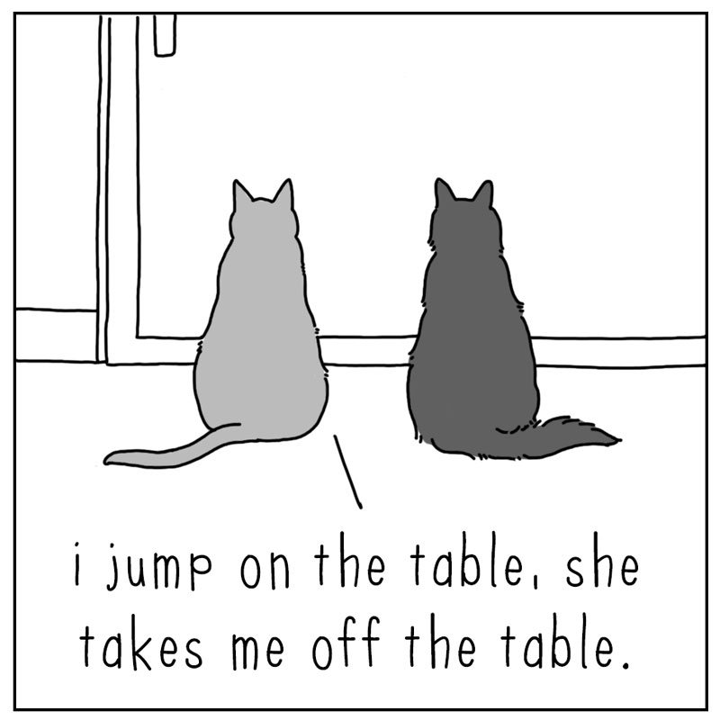 https://cdn-dev.tinyview.com/they-can-talk/2024/10/04/game/cat_counter1.jpg