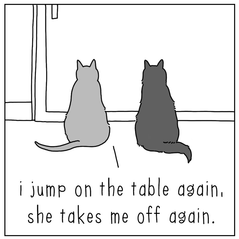 https://cdn-dev.tinyview.com/they-can-talk/2024/10/04/game/cat_counter2.jpg