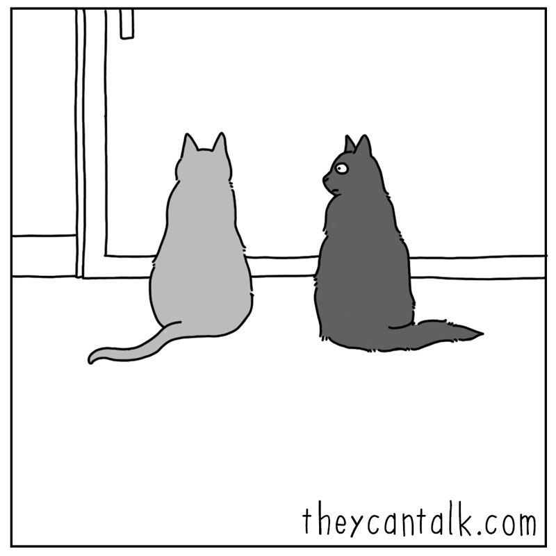 https://cdn-dev.tinyview.com/they-can-talk/2024/10/04/game/cat_counter4.jpg