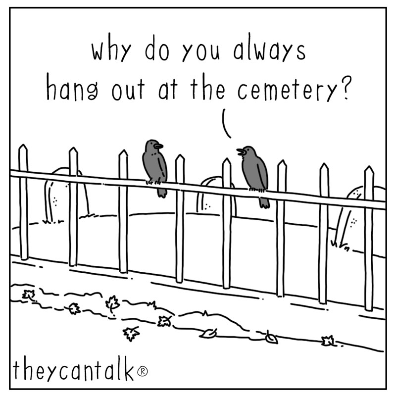 https://cdn-dev.tinyview.com/they-can-talk/2024/10/21/image/crow_cemetary1.jpg