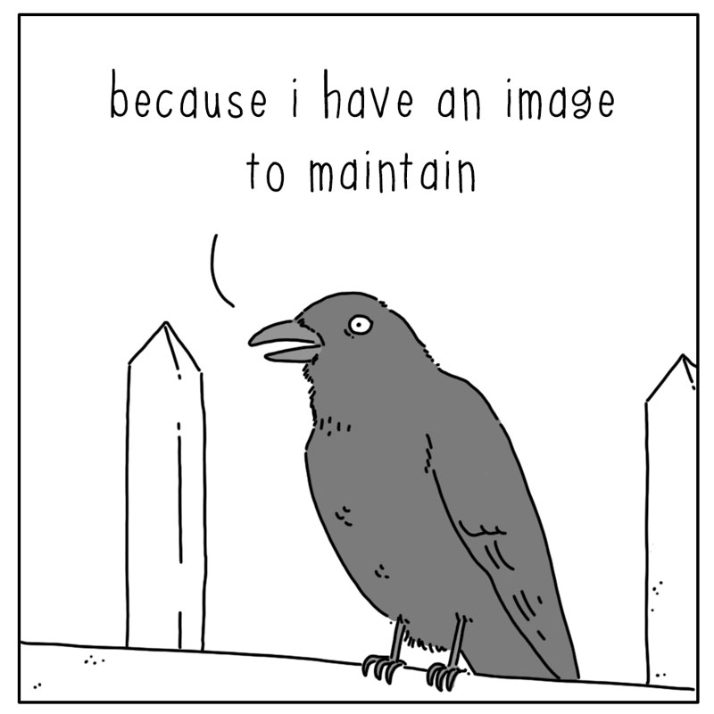 https://cdn-dev.tinyview.com/they-can-talk/2024/10/21/image/crow_cemetary2.jpg