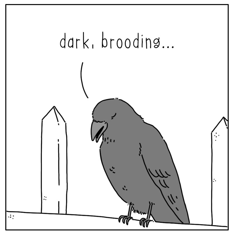 https://cdn-dev.tinyview.com/they-can-talk/2024/10/21/image/crow_cemetary3.jpg