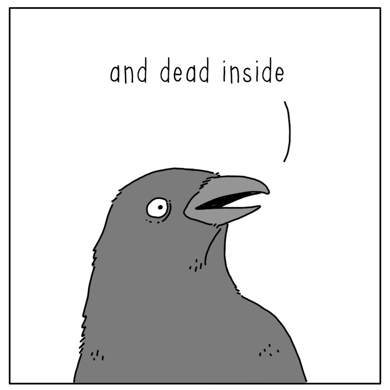 https://cdn-dev.tinyview.com/they-can-talk/2024/10/21/image/crow_cemetary4.jpg