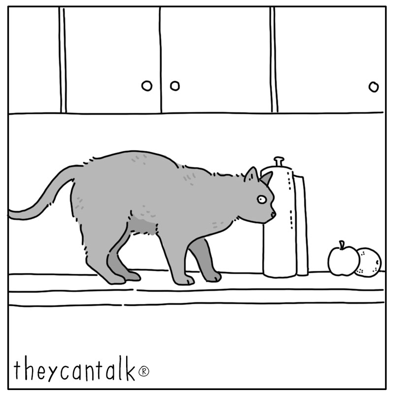 https://cdn-dev.tinyview.com/they-can-talk/2024/11/04/counter/cat_counter1.jpg