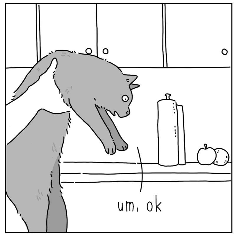 https://cdn-dev.tinyview.com/they-can-talk/2024/11/04/counter/cat_counter3.jpg